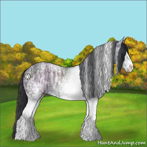 Horse Color:White Spotted Black Ice Rabicano