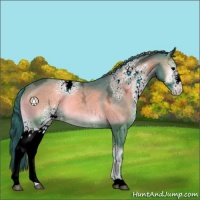 Horse Color:Watercolor White Spotted Blue Onyx Ice 
