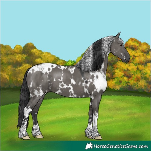 Horse Color:Platinum White Spotted Grullo 