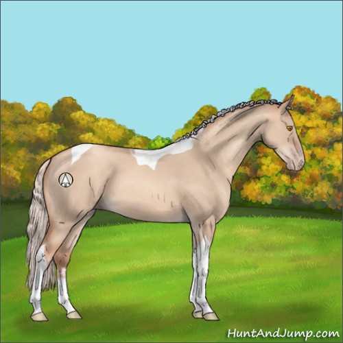 Horse Color:Silver Classic Champagne Dun Sabino Tobiano 