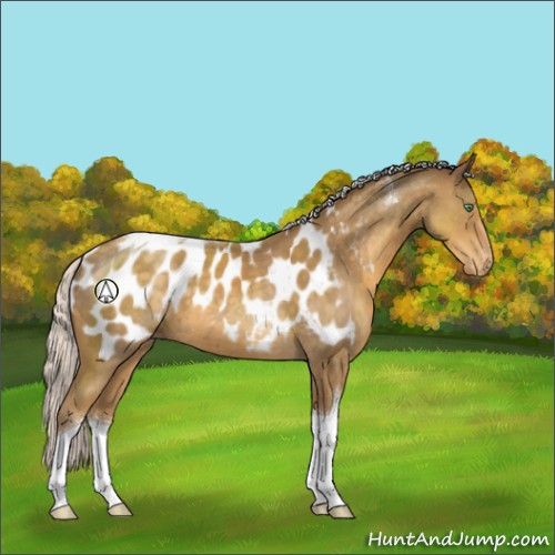 Horse Color:Silver Classic Cream Champagne Sabino Tobiano Appaloosa 