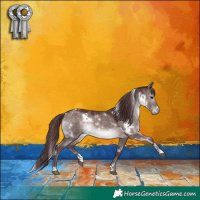 Horse Color:Platinum White Spotted Chocolate Brown Dun 