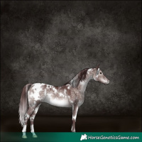 Horse Color:Platinum White Spotted Chocolate Brown Dun 