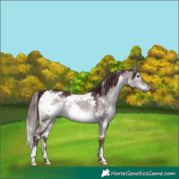 Horse Color:Platinum White Spotted Chocolate Brown Dun