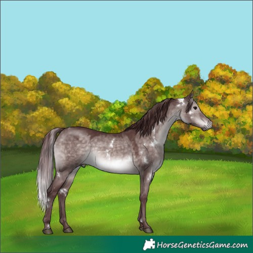 Horse Color:Platinum White Spotted Chocolate Brown Dun 