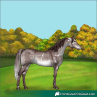 Horse Color:Platinum White Spotted Chocolate Brown Dun 
