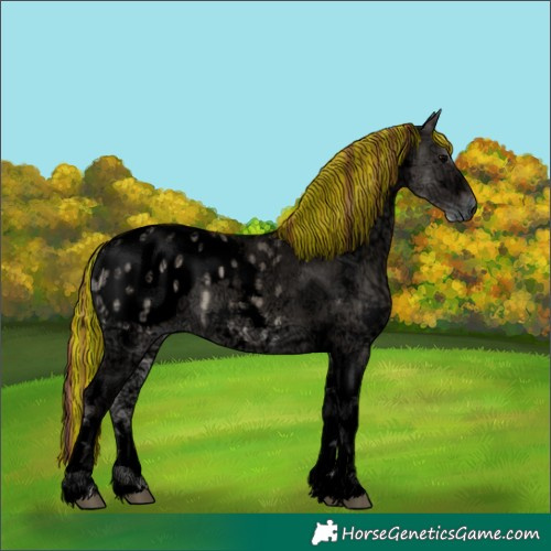 Horse Color:Void Painted White Spotted Grullo Ice Onyx Tobiano Appaloosa Brindle 