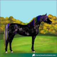 Horse Color:Void Painted Watercolor White Spotted Chocolate Blue Onyx Ice Splash Tobiano 
