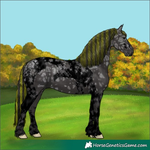 Horse Color:Void Painted Smoky Black Ice Tobiano 