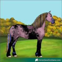 Horse Color:Void Painted Watercolor Chocolate Grullo Tobiano 