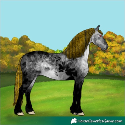 Horse Color:Void Painted Brown Chinchilla Tobiano 