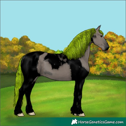 Horse Color:ERROR: UNKNOWN ANOMALY