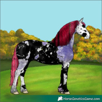 Horse Color:ERROR: UNKNOWN ANOMALY