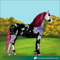 Horse Color:ERROR: UNKNOWN ANOMALY