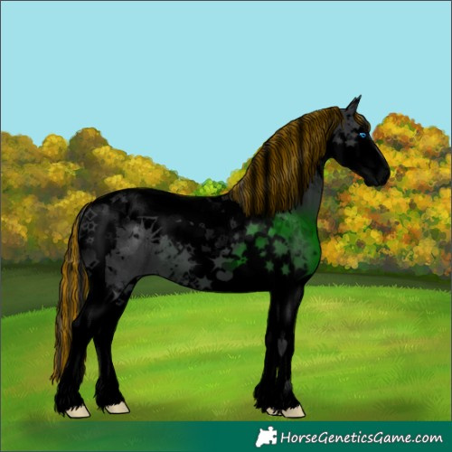Horse Color:Void Painted Black Splash Tobiano