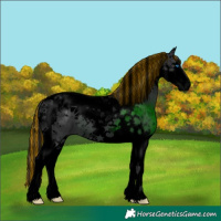 Horse Color:Void Painted Black Splash Tobiano 