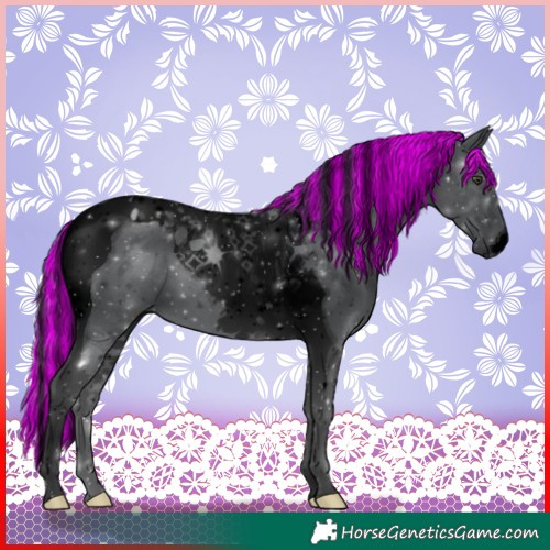 Horse Color:Void Painted Black Chinchilla Tobiano 