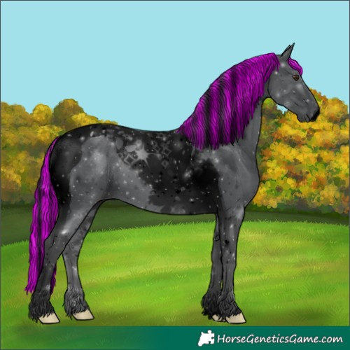 Horse Color:Void Painted Black Chinchilla Tobiano 