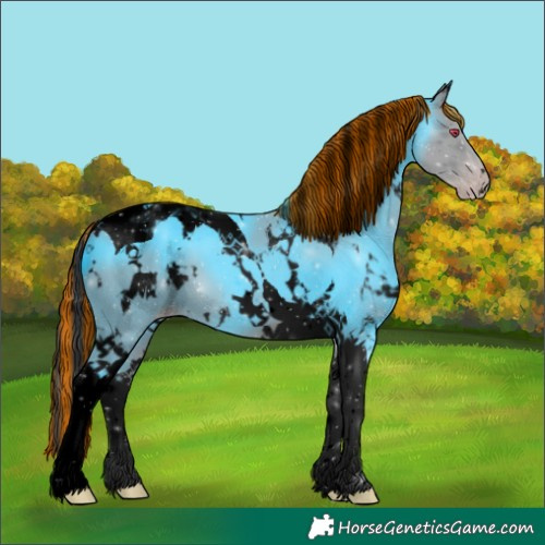 Horse Color:Void Painted White Spotted Classic Champagne Chinchilla Tobiano 
