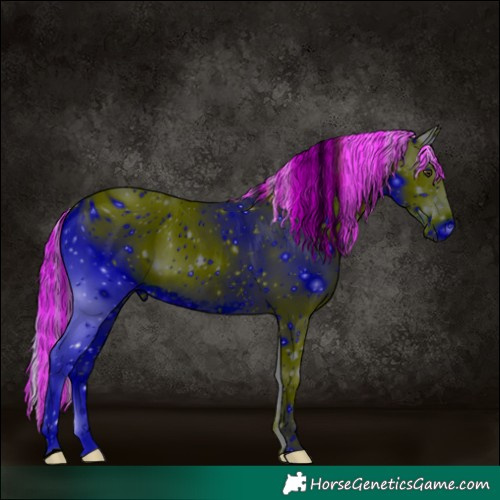 Horse Color:ERROR: UNKNOWN ANOMALY