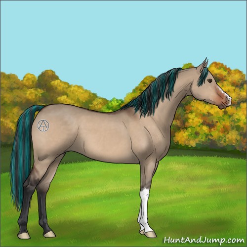 Horse Color:Painted Brown Dun 