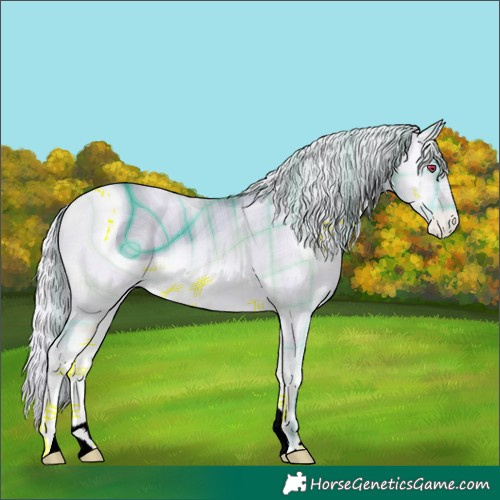 Horse Color:ERROR: UNKNOWN ANOMALY