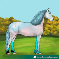 Horse Color:ERROR: UNKNOWN ANOMALY