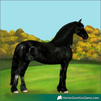 Horse Color:ERROR: UNKNOWN ANOMALY