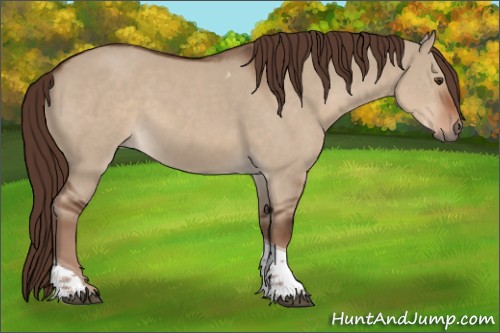 Horse Color:Liver Red Dun Tobiano 
