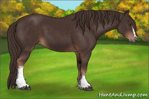 Horse Color:White Spotted Liver Chestnut 