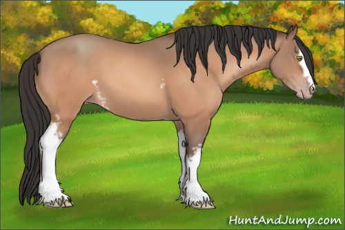 Horse Color:White Spotted Sable Champagne 