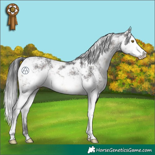 Horse Color:Brown Sabino