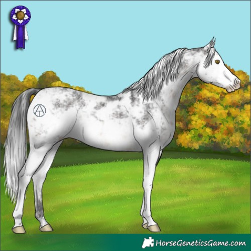 Horse Color:Brown Sabino