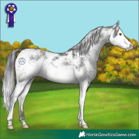 Horse Color:Brown Sabino 