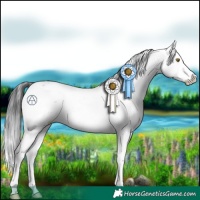 Horse Color:Brown Sabino