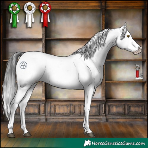 Horse Color:Brown Sabino 
