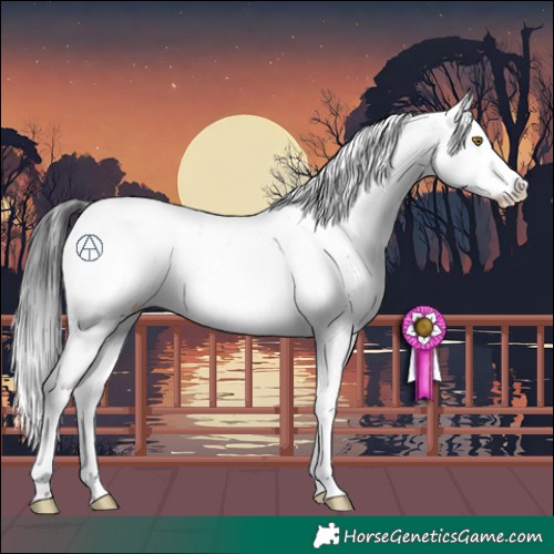 Horse Color:Brown Sabino 