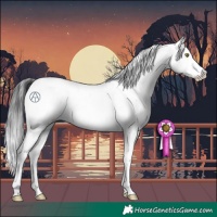 Horse Color:Brown Sabino