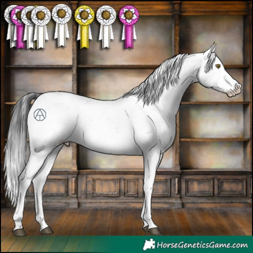 Horse Color:Brown Sabino 