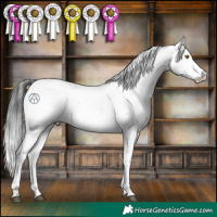 Horse Color:Brown Sabino