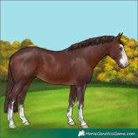 Horse Color:Chocolate Brown 