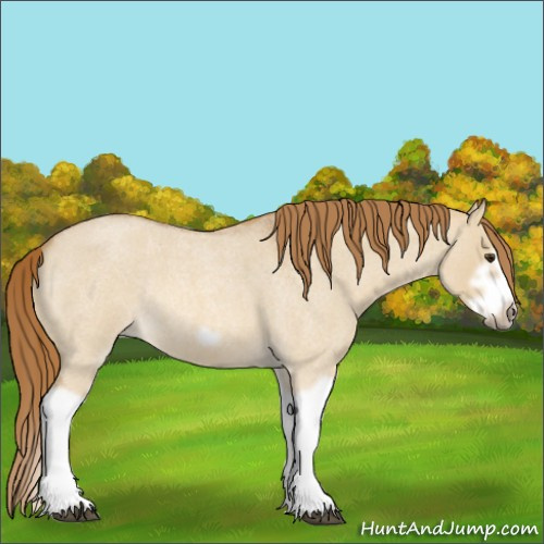 Horse Color:Red Dun Roan Splash Frame Rabicano 
