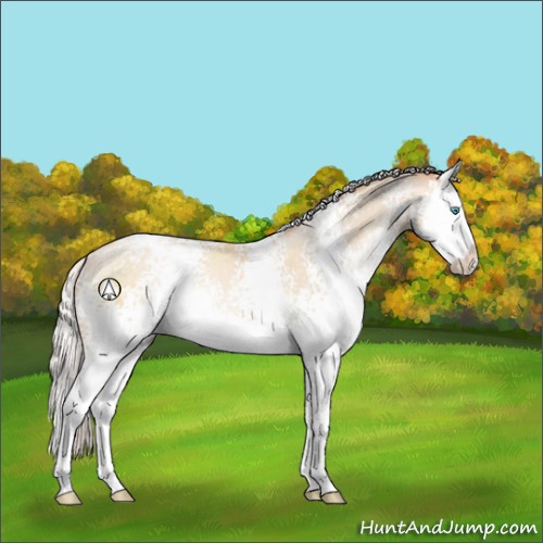 Horse Color:White Spotted Silver Sable Cream Champagne Pearl Splash Rabicano 