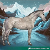 Horse Color:Silver Grullo Ice Rabicano 