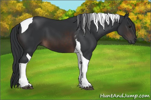 Horse Color:Brown Tobiano 