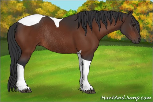 Horse Color:Brown Tobiano Rabicano 