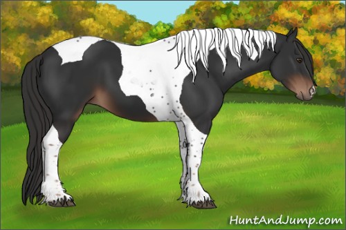 Horse Color:Liver Chestnut Tobiano 