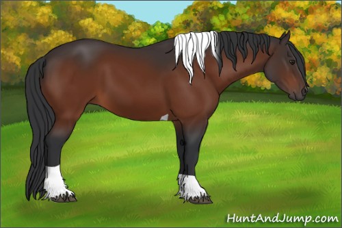 Horse Color:Brown Tobiano 