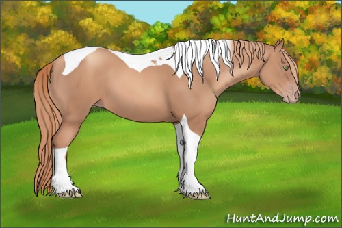 Horse Color:Gold Champagne Tobiano 