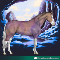 Horse Color:Silver Brown Ice Dun Splash